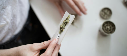 What is cannabis?