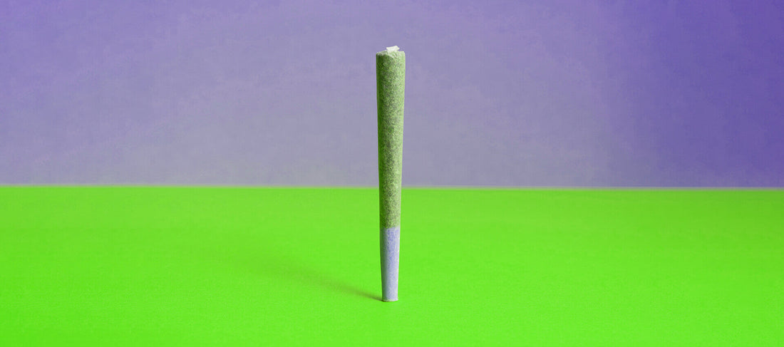 An Introduction to Cannabis Prerolls in South Africa