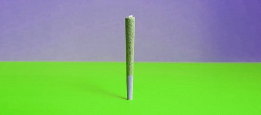An Introduction to Cannabis Prerolls in South Africa