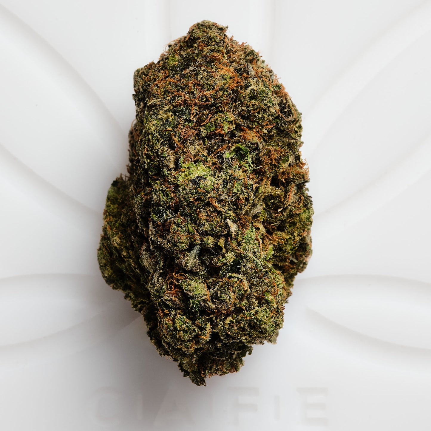 Pink Cookies Hybrid Cannabis Pre-Rolled (1.3grams)