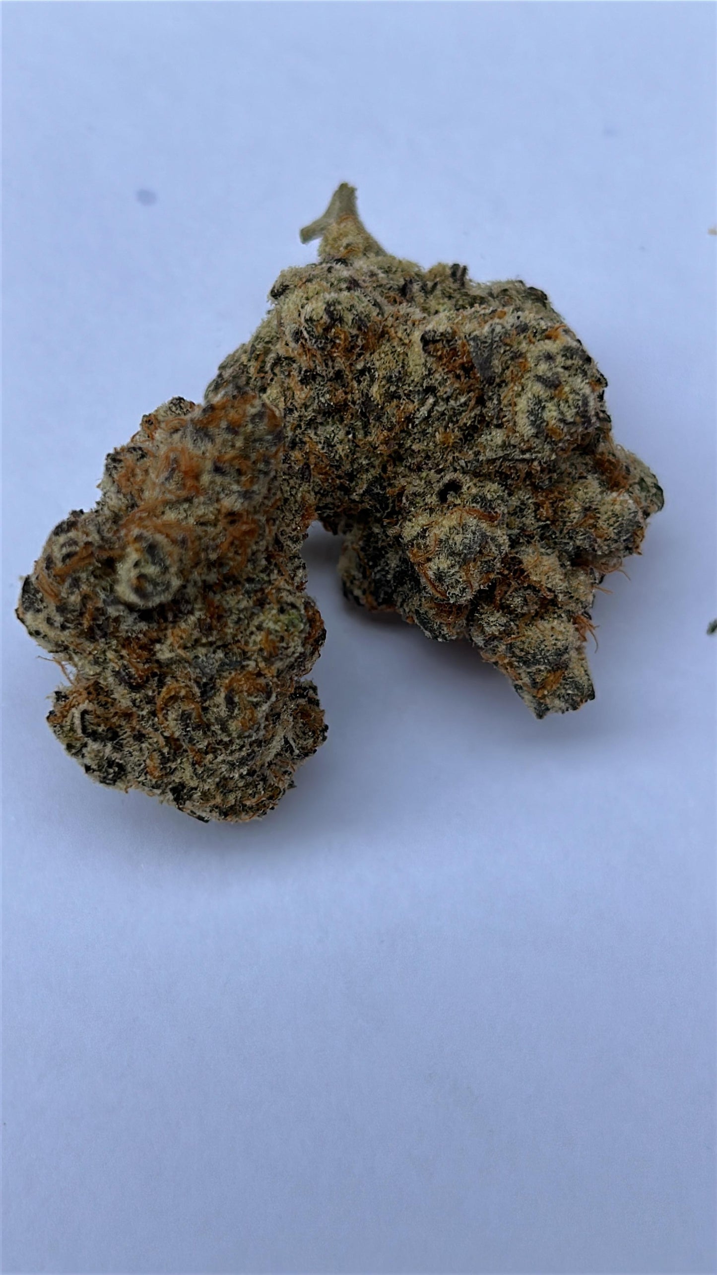 Wedding Cake Indica Hybrid Cannabis Pre-Rolled (1.3grams)