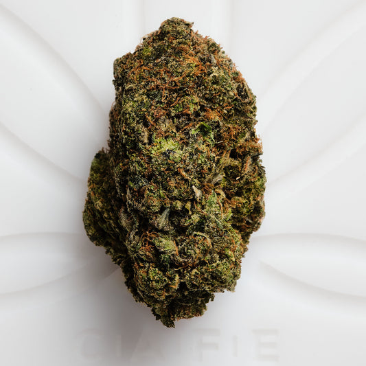 Pink Cookies Hybrid Cannabis Pre-Rolled (1.3grams)